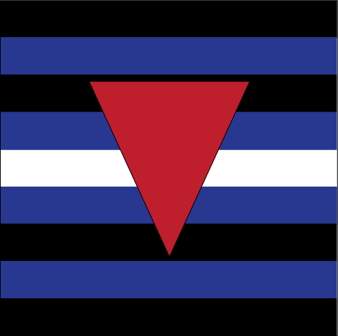 Gay Leather Flag 80